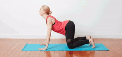 حرکت گربه - گاو جهت توزیع فشار در کانال نخاعی