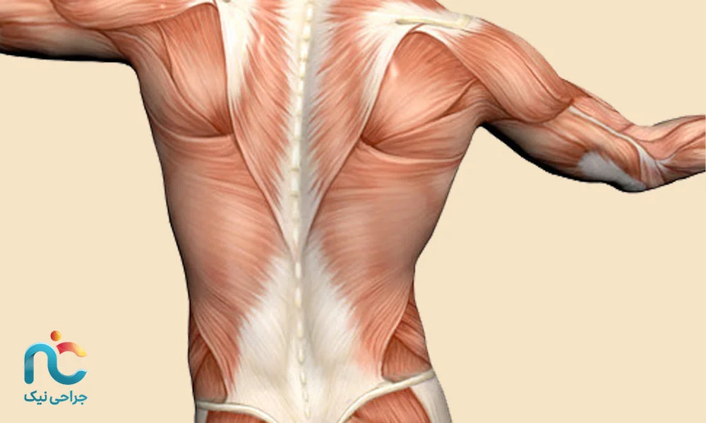 تثبیت نتیجه