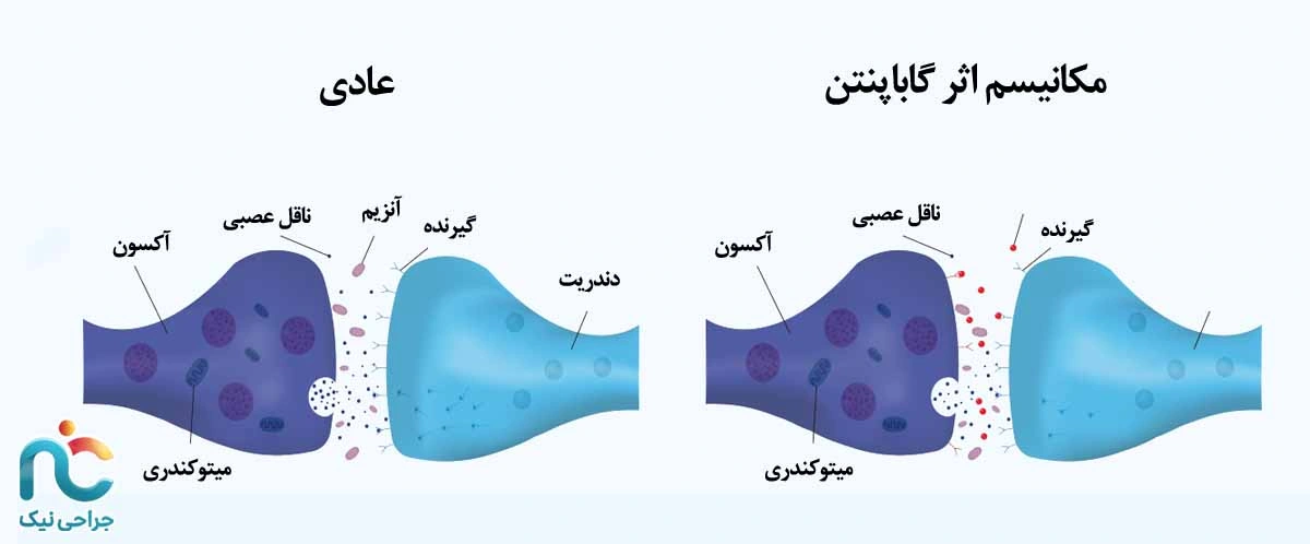 مکانیسم اثر