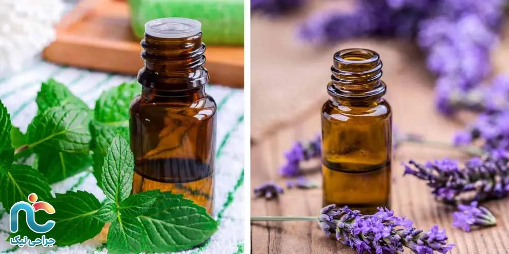 روغنهای گیاهی